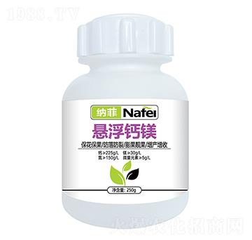 �Ҹ��}�V-�{��-�ְ�ʘI(y��)