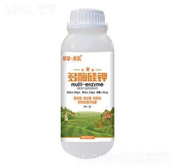 ��ø���-���R������-�ְ�ʘI(y��)