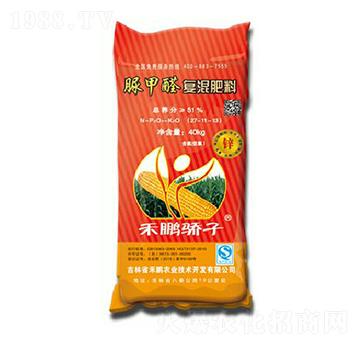 ���ȩ�ͻ����27-11-13-���i���-���i�r(n��ng)�I(y��)