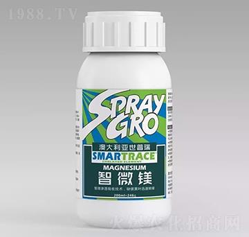 ��΢�V-����܎���r(n��ng)�I(y��)