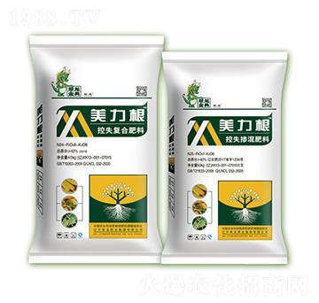 ������ȫ���Ϳ�ʧ�ͺϷ��������-�����ʘI(y��)