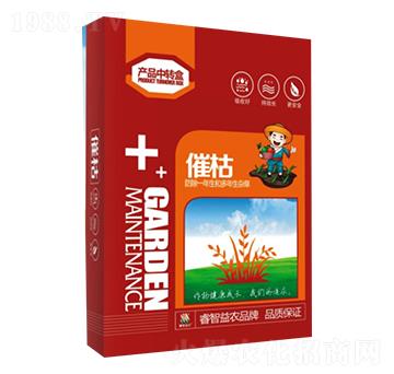 �߿�-������r