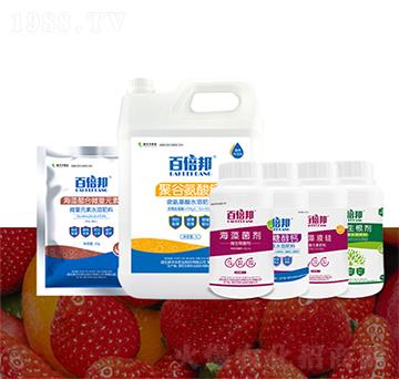 �ٱ���С�ط�-�����S