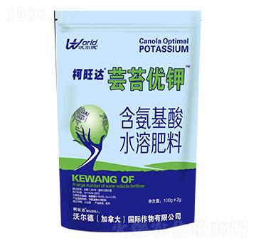 �|̦��(y��u)�-�����_(d��)-�֠���