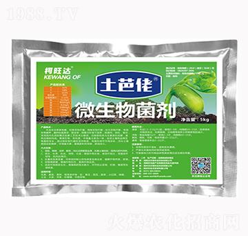 ������΢�������-�����_(d��)-�֠���