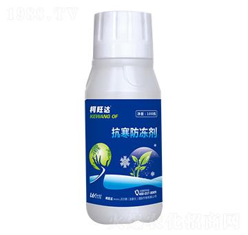 ����������-�����_(d��)-�֠���