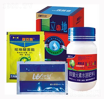 ���M��-�����_(d��)-�֠���