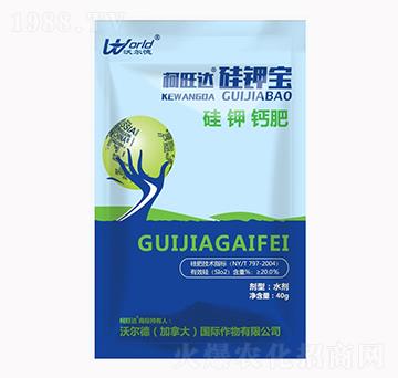 ��⛌�-�����_(d��)-�֠���