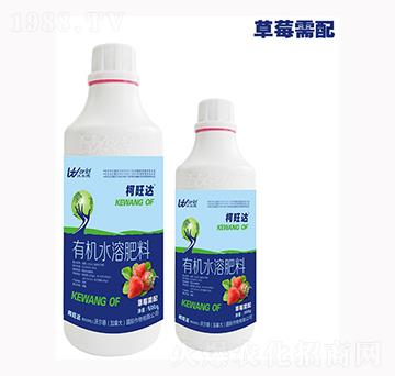 ��ݮ�����~���-�����_(d��)-�֠���