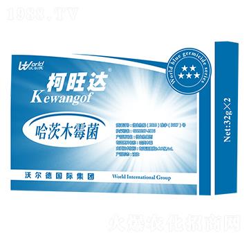 ����ľù��-�����_-�֠���