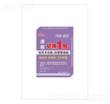 �������P��1̖(h��o)-(li��n)�r(n��ng)���S��