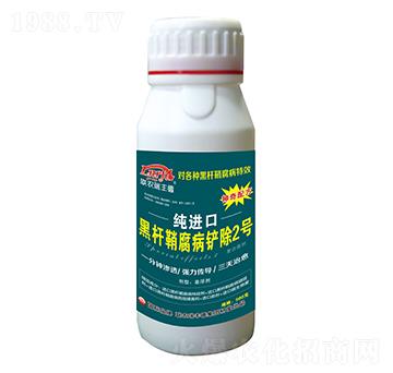 微生物菌肥-純進(jìn)口黑桿鞘腐病鏟除2號(hào)-瑞豐德