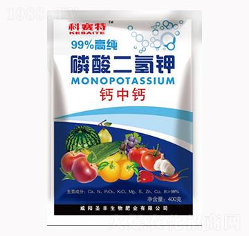 ��������-��ِ��-ʥ�S