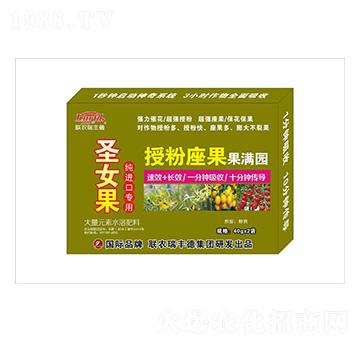 ����Ԫ��ˮ�ܷ�-ʥŮ�����M(j��n)�ڌ���-�ڷ��������M�@-���S��