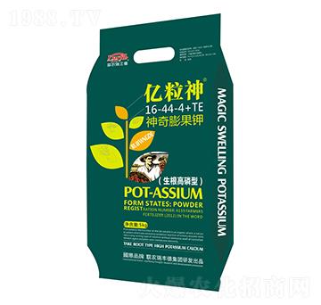 ��������16-44-4+TE-�|����-���S��