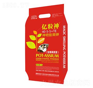 ��������40-5-5+TE-�|����-���S��