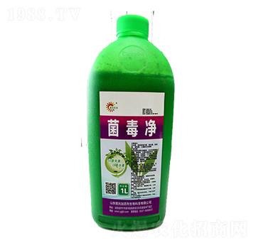 ������-�(y��ng)��Ӱ���