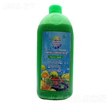 �Ϲ����-�(y��ng)��Ӱ���