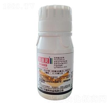 100g��ù��-�����`-�|�r�߿�