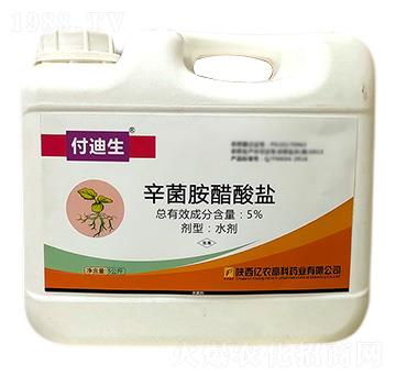 5kg�����������}-������-�|�r�߿�