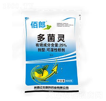 25%����`-����-�|�r�߿�