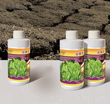 ���~���÷�-�����-������