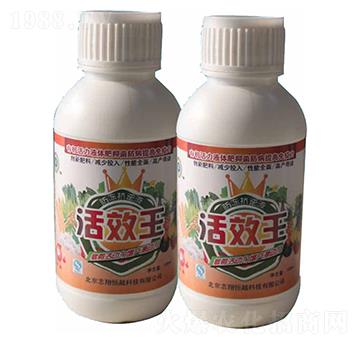 ��Ч��-־���Խ