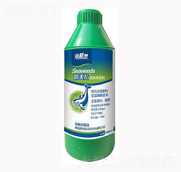 ���徫-�W����-���L�`