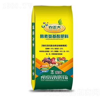 ���ذ��������-�r�����S��-������