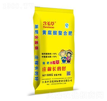 �S�������Ϸ�-���߲�-������