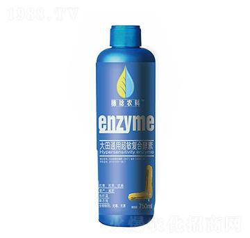 ���(zhu��n)�ó����(f��)�Ͻ���-�S���r(n��ng)��