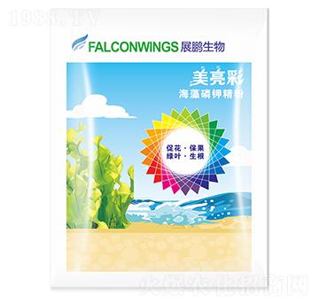 ������-չ�i����