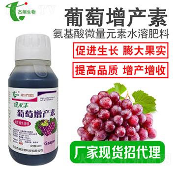 �������a(ch��n)��-�G�S��-��������