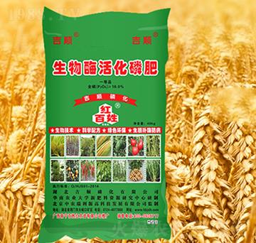 40kg����ø��׷�-���