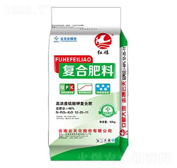 ������͏ͺϷ�12-25-11-�t��-���o����