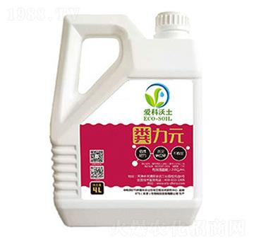 �S��Ԫ-�ۿ�����