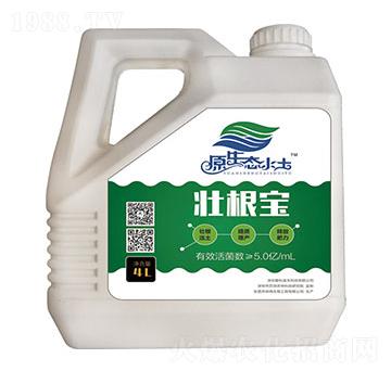 �Ѹ���-��(��i)������