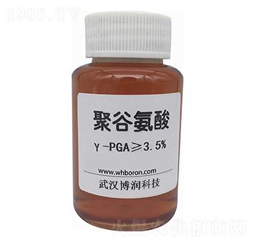 �۹Ȱ����-PGA-����(r��n)�Ƽ�