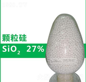 27%�w����-����(r��n)�Ƽ�