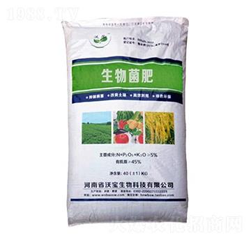 �������-�֌�����