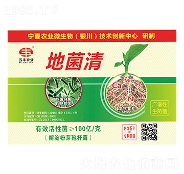 20kg�ؾ���-���S�r�I(y��)