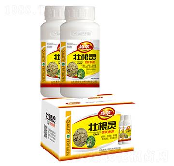 �Ѹ��`�S�Ό���-��������