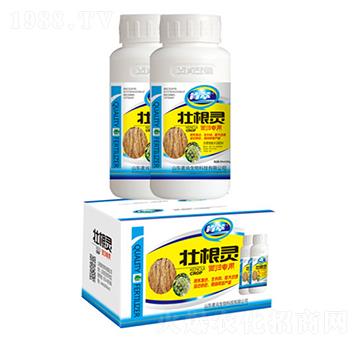 �Ѹ��`��(d��ng)�w��(zhu��n)��-��������