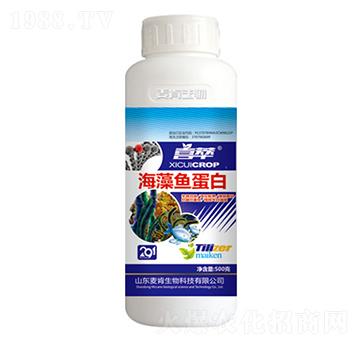 �����~����-��������