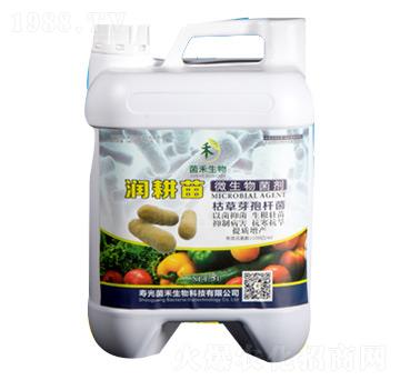 ������ݲ�ѿ�ߗU��-��������