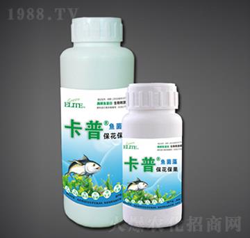 ����������ø���~����-�G�����