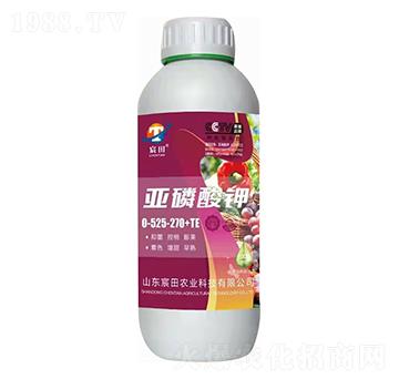 �������0-525-270+TE-����r(n��ng)�I(y��)