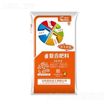 ������׷��(f��)�Ϸ���16-9-9-�W��