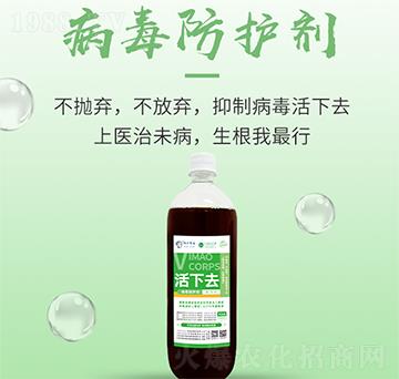 �������o(h��)��-����ȥ-���S����