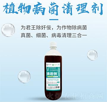 ֲ�ﲡ�����턩-�����(c��)-���S����